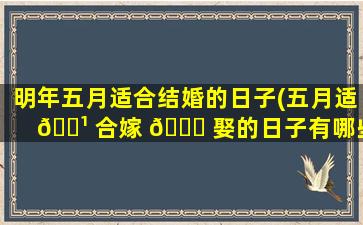 明年五月适合结婚的日子(五月适 🌹 合嫁 🕊 娶的日子有哪些)